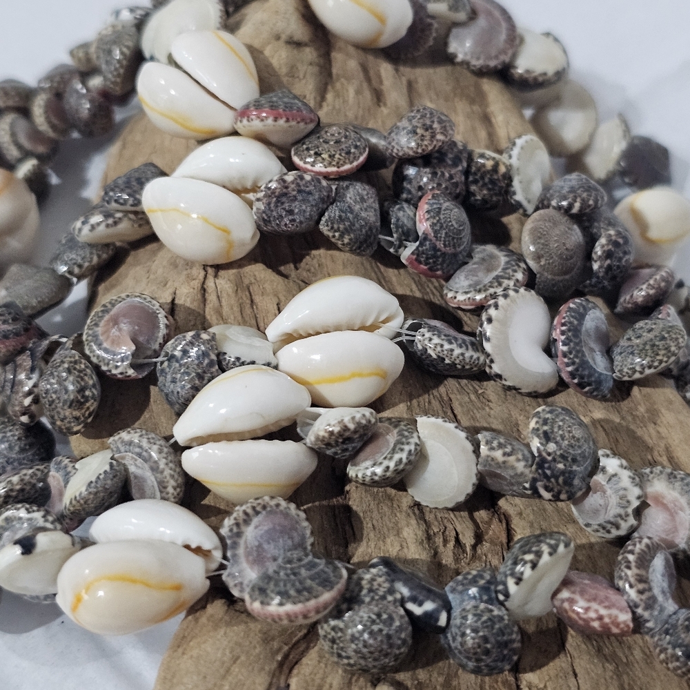 Cowrie Shells & Umbonium Shells Necklace Cowry Pacific Hawaii Japan Vintage
